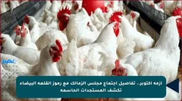 أزمة أكتوبر.. تفاصيل اجتماع مجلس الزمالك مع رموز القلعة البيضاء تكشف المستجدات الحاسمة